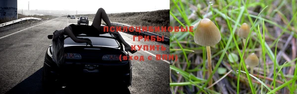 мяу мяу кристалл Козельск