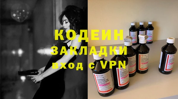 хмурый Кодинск