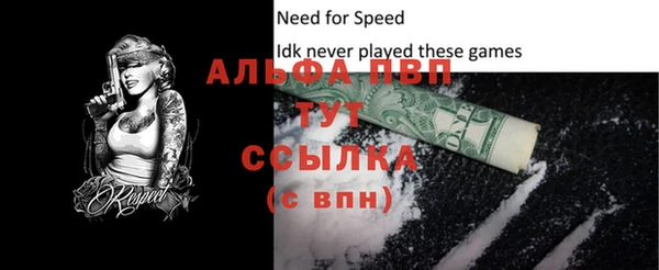 хмурый Кодинск