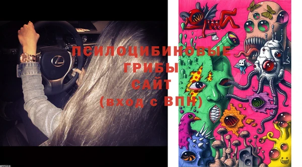 синтетический гашиш Козловка