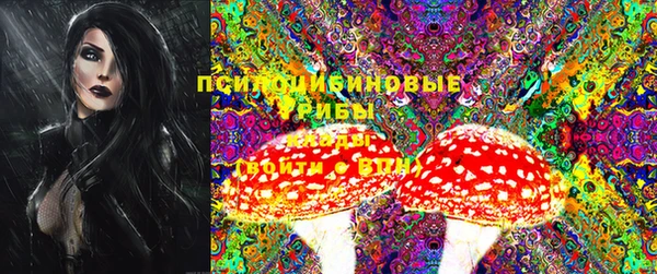 хмурый Кодинск