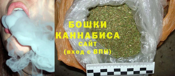 хмурый Кодинск