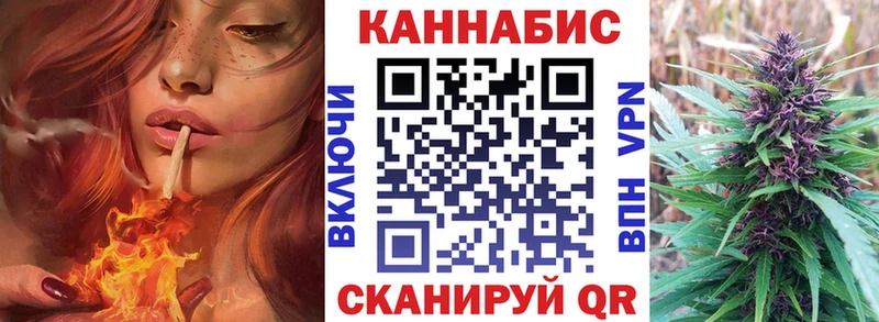 Купить где  Светлогорск  Каннабис индика 